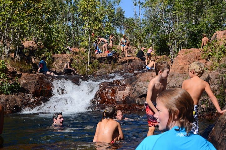 Full-Day Litchfield National Park & Jumping Crocodiles Tour from Darwin photo 6