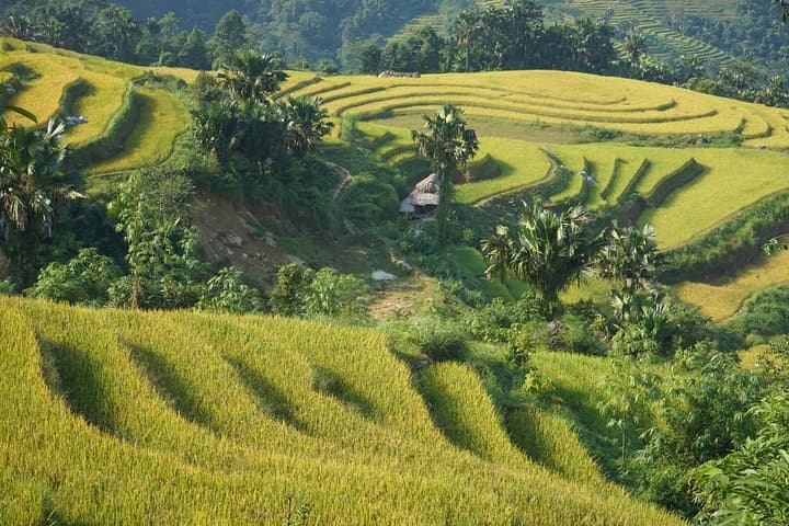 Sapa Loop & Y Tý Trek: 2-Day Ong Chua Waterfall Adventure photo 6