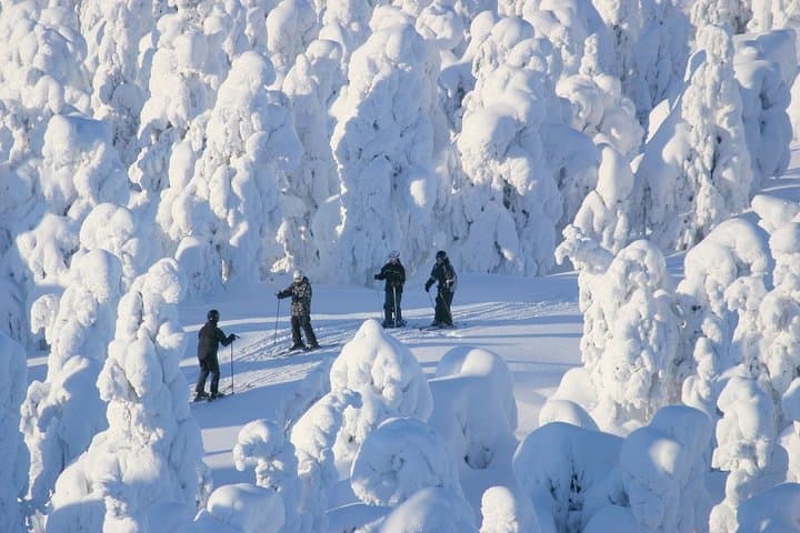 Small-Group Lapland Cross-Country Ski Experience in Rovaniemi photo 4
