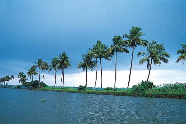 Private Houseboat Backwater Day Cruise with Lunch from Cochin — Kerala Backwaters Day Trip photo 2