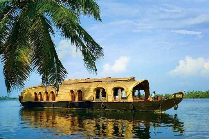 Private Houseboat Backwater Day Cruise with Lunch from Cochin — Kerala Backwaters Day Trip photo 1