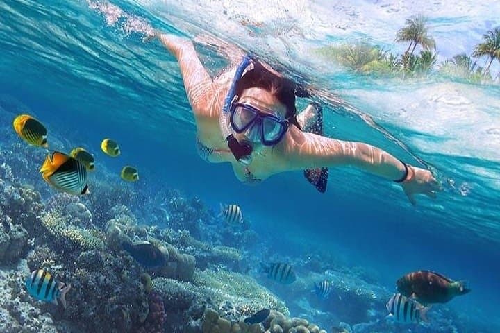 Hamata Island Snorkeling Tour from Marsa Alam — Explore Hamata National Park's Virgin Islands
