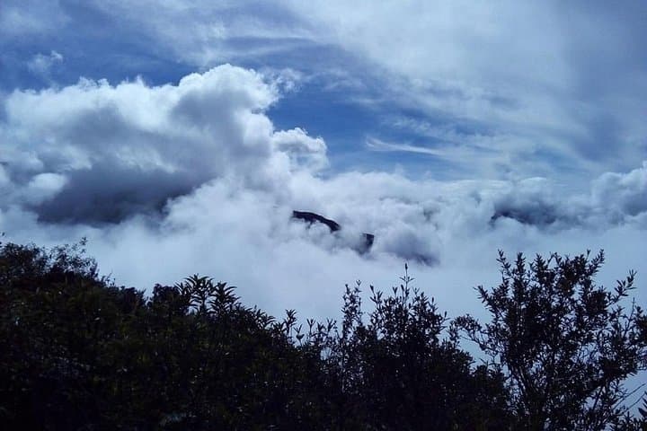 4-Day Manu Jungle Adventure from Cusco: Macaw Clay Licks, Rainforest Lodges & Wildlife photo 6