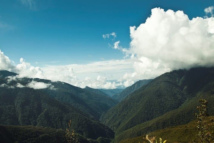 3-Day Manu Jungle Lodge Tour: Wildlife, Rivers & Cloud-Forest Walks from Cusco photo 5