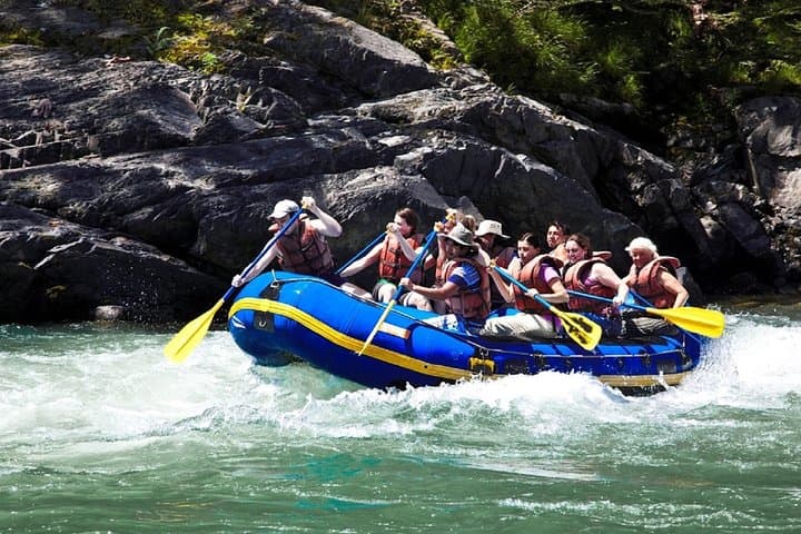 3-Day Manu Jungle Lodge Tour: Wildlife, Rivers & Cloud-Forest Walks from Cusco photo 6