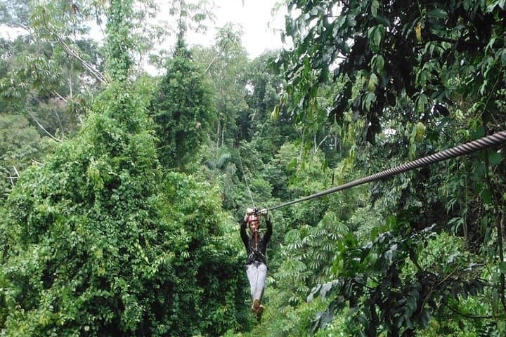 3-Day Manu Jungle Lodge Tour: Wildlife, Rivers & Cloud-Forest Walks from Cusco photo 4