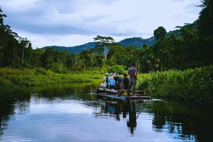 3-Day Manu Jungle Lodge Tour: Wildlife, Rivers & Cloud-Forest Walks from Cusco