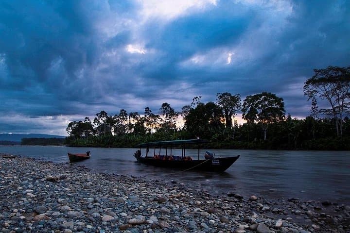 4-Day Manu Jungle Adventure from Cusco: Macaw Clay Licks, Rainforest Lodges & Wildlife photo 2