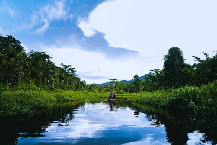 3-Day Manu Jungle Lodge Tour: Wildlife, Rivers & Cloud-Forest Walks from Cusco photo 3
