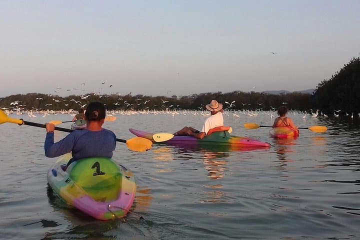 Kayaking and Horseback Riding Combo at Barra de Potosí — Half-Day Adventure with Seafood Lunch photo 1