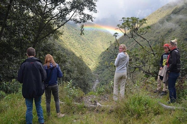 4-Day Manu Jungle Adventure from Cusco: Macaw Clay Licks, Rainforest Lodges & Wildlife photo 4