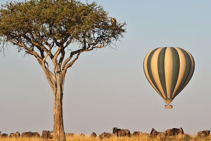 4-Day Tsavo & Amboseli Safari: Red Elephants, Mzima Springs & Kilimanjaro Views photo 3