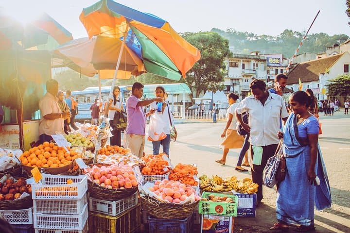 Ultimate 10-Day Private Round Trip in Sri Lanka: Culture, Wildlife, Tea & Coast photo 5