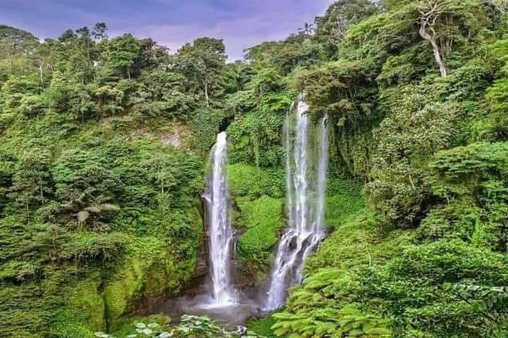 Sekumpul Waterfall, Beratan Temple & Twin Lakes Private Tour — Bali North Coast Highlights photo 2