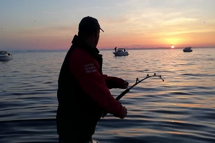Zadar Sunset Fishing Tour - Evening Charter for Local Catch & Anchovy Tasting photo 1