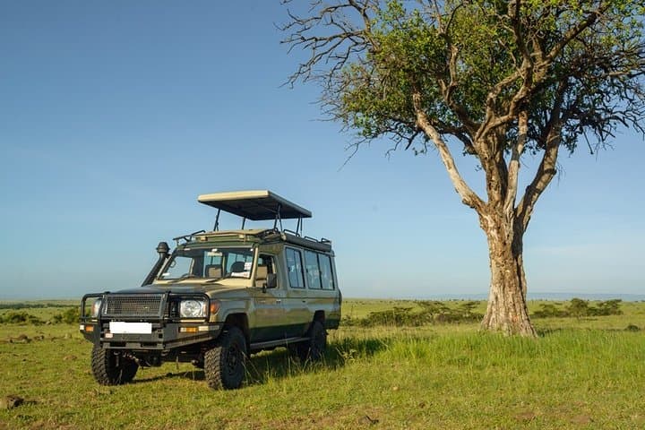 10-Day Kenya Big Five Safari & Diani Beach Escape — Masai Mara to Amboseli photo 2