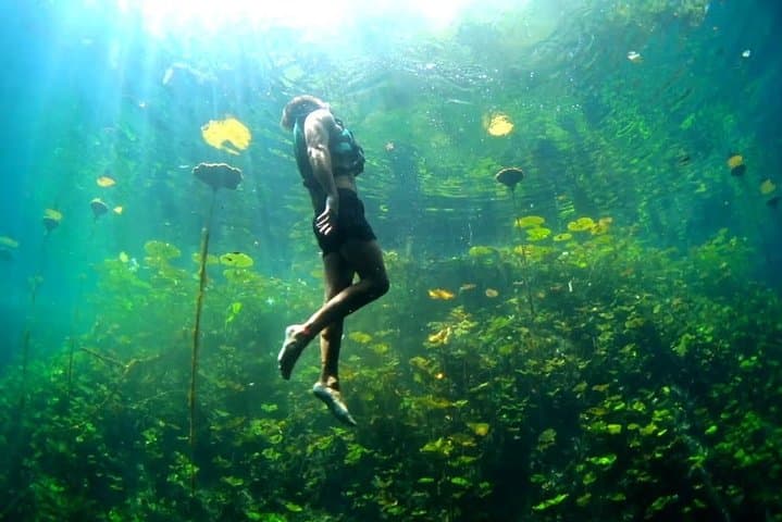 Xenotes Full Nature Experience: Visit Four Cenotes with Rappel, Zipline & Kayak