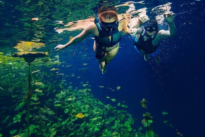 Xenotes Full Nature Experience: Visit Four Cenotes with Rappel, Zipline & Kayak photo 2