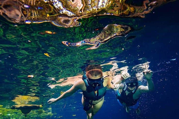 Xenotes Four-Cenote Adventure — Rappel, Zip, Kayak & Swim from Cancun photo 3