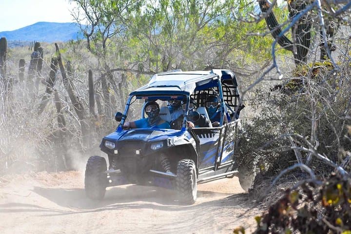 Los Cabos Combo ATV/UTV and Beach Horseback Riding Adventure photo 3