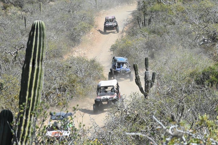 Los Cabos Combo ATV/UTV and Beach Horseback Riding Adventure photo 6