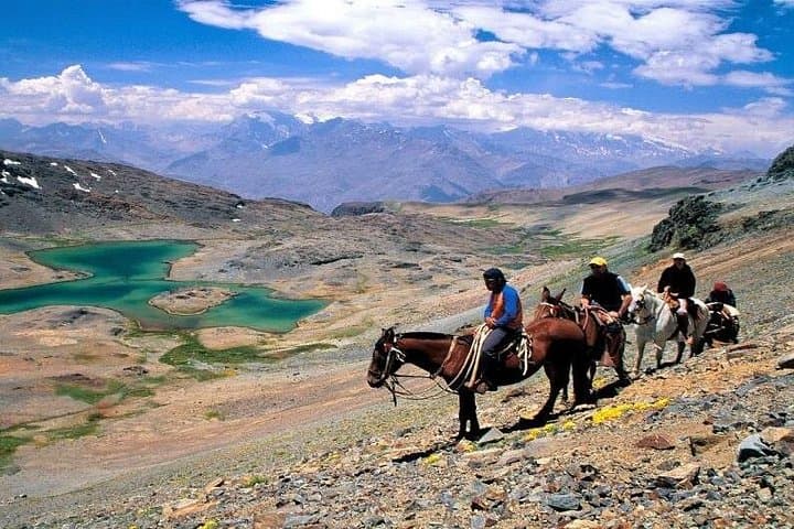 Horseback Through the Andes and Maipo Valley: Day Trip from Santiago