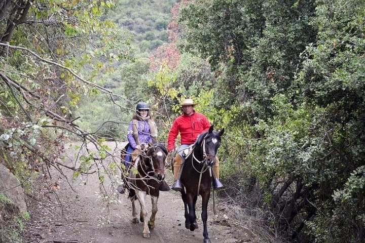 Horseback Through the Andes and Maipo Valley: Day Trip from Santiago photo 3
