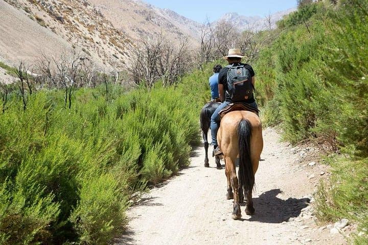 Horseback Through the Andes and Maipo Valley: Day Trip from Santiago photo 4