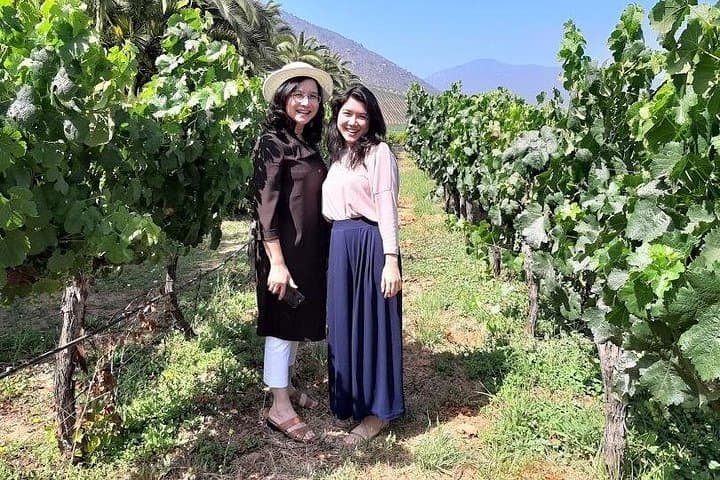 Horseback Through the Andes and Maipo Valley: Day Trip from Santiago photo 5