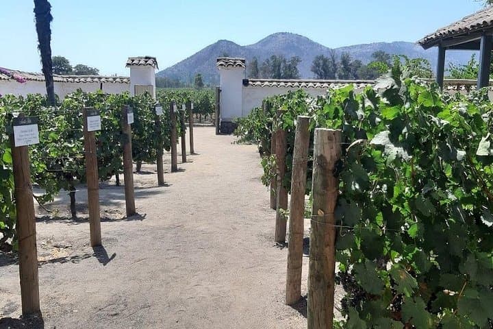 Horseback Through the Andes and Maipo Valley: Day Trip from Santiago photo 6