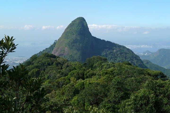 Hike Pico da Tijuca: Tijuca Rainforest Day Hike from Rio photo 6