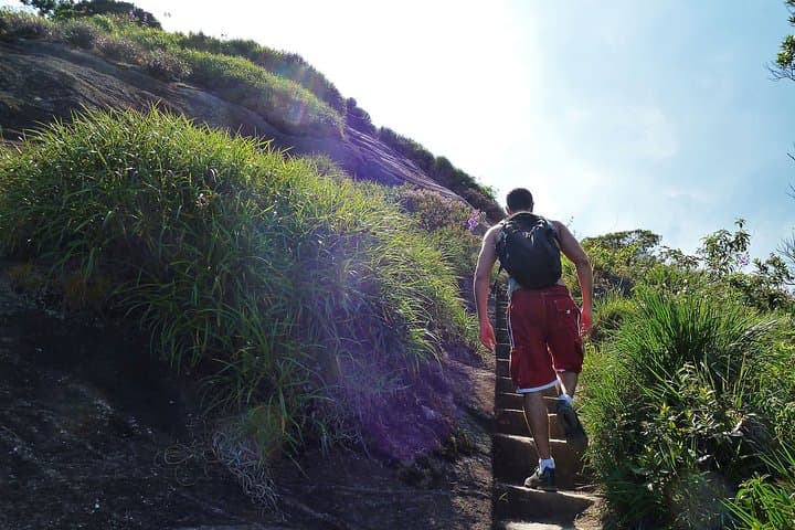 Hike Pico da Tijuca: Tijuca Rainforest Day Hike from Rio photo 4