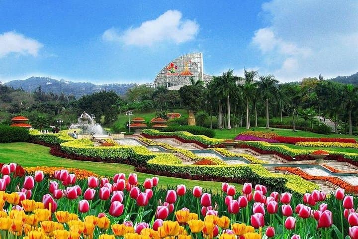 Guangzhou Private Day Tour: Canton Tower, Baiyun Mountain & Chen Clan Temple photo 5