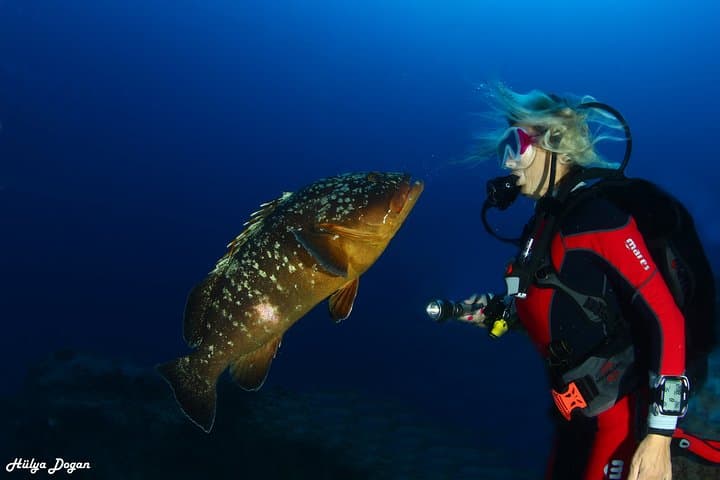 PADI Open Water Diver Course in Antalya: Learn to Scuba in 3–4 Days