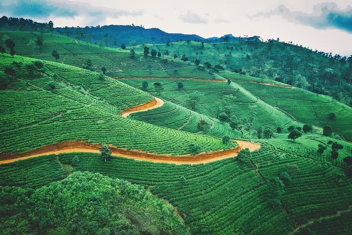 8-Day Private Round Trip in Sri Lanka: Sigiriya, Kandy, Ella, Yala & Bentota photo 2