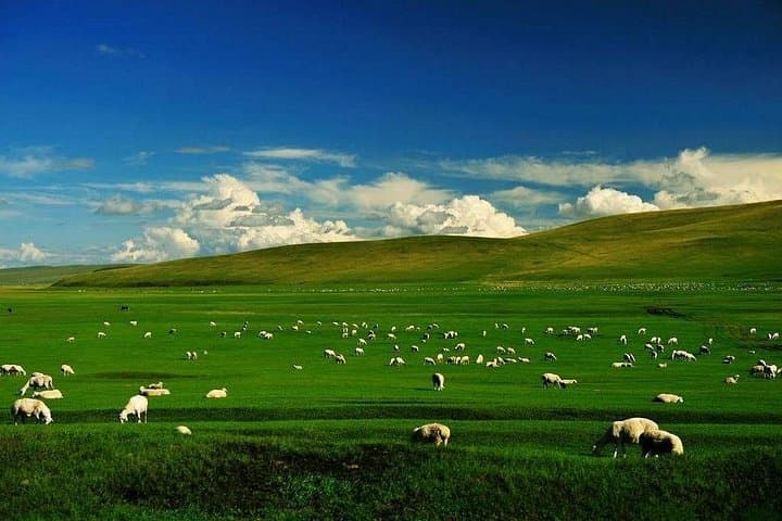 Hulun Buir Grasslands & Wetlands: 5-Day Private Tour from Hailar photo 5