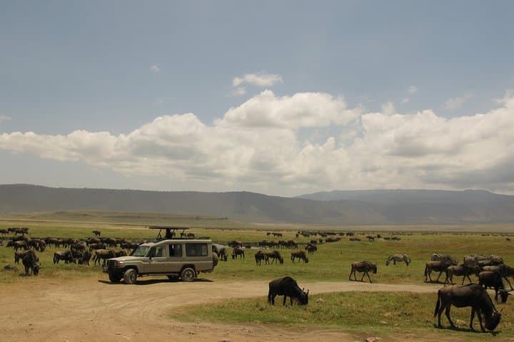 3-Day Masai Mara Safari: Mid-Range Private Wildlife Experience photo 3