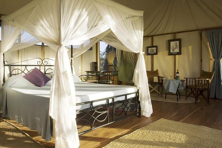 3-Day Masai Mara Safari: Mid-Range Private Wildlife Experience photo 5