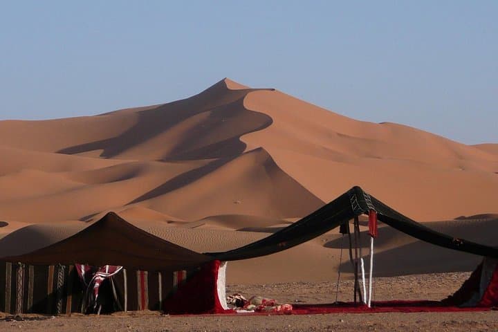 Doha Desert Safari: Dune Bashing, Camel Ride & Inland Sea Day Trip photo 1