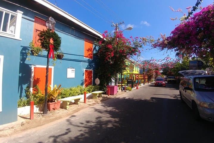 Nassau Shore Excursion — Sightseeing, Chocolate Tasting & Snorkeling at Nirvanna Beach photo 3