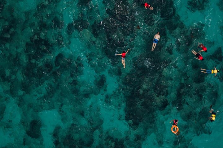 Buccoo Reef Nylon Pool Glass-Bottom Boat Tour — Tobago Snorkel Day Trip photo 6