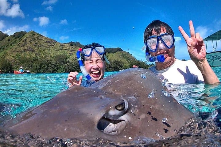 6-Hour Private Snorkeling and Motu Lunch Tour in Moorea Lagoon photo 4