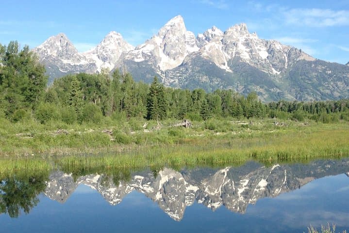 Grand Teton Sunrise Wildlife Tour from Jackson Hole photo 3