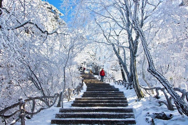 Hike Huangshan’s Xihai Grand Canyon: Private Day Tour to Bright Summit & Sea of Clouds photo 3