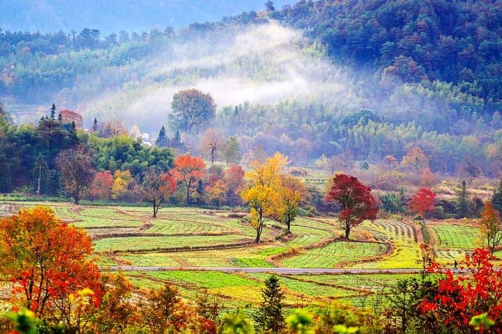 Sunrise on Huangshan: 2-Day Private Tour of Yellow Mountain & Xidi Village photo 5