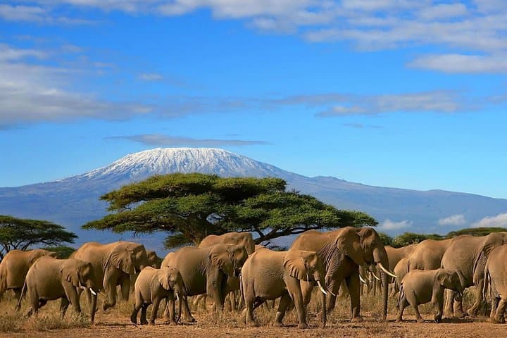 3-Day Amboseli Safari: Kilimanjaro Views, Elephants & Private 4x4 Game Drives