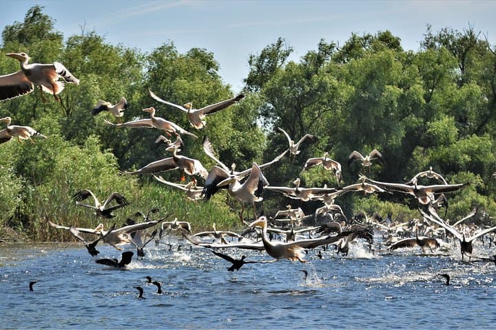 Explore the Danube Delta: 5-Day Private Tour from Bucharest photo 2