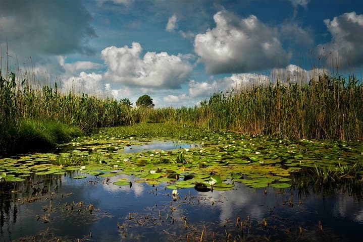 Explore the Danube Delta: 5-Day Private Tour from Bucharest