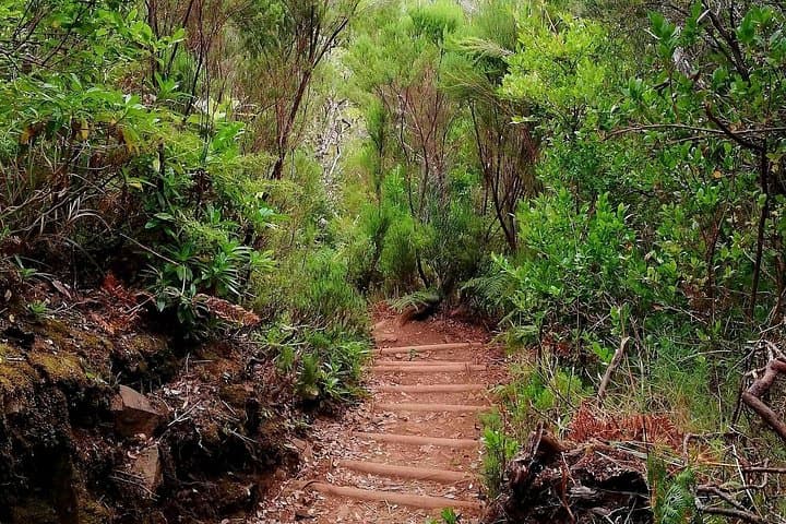 The Lakes Walk: Paul da Serra to Rabaçal Waterfalls and Lagoons photo 2