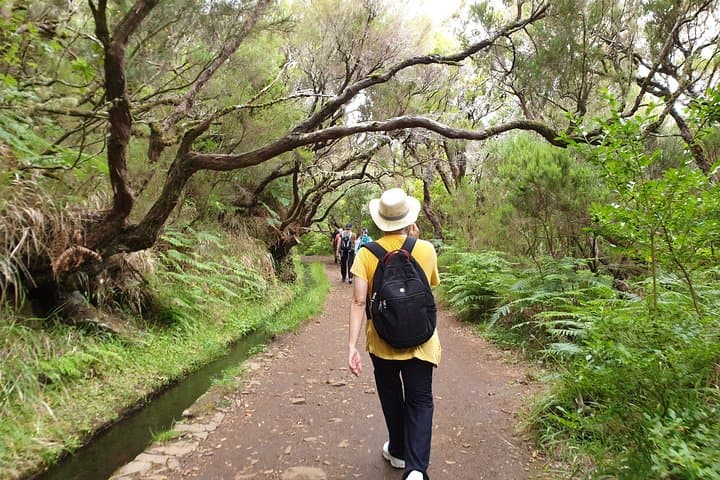 Rabacal 25 Fontes Levada Hike: Risco Waterfall & 25 Springs photo 4